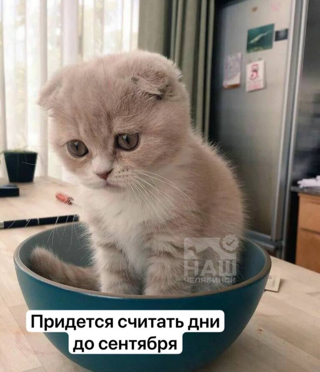 Ракам, Девам и Стрельцам астрологи советуют отказаться от алкоголя до конца лета  Это поможет избежать срыва важных планов и не упустить выгодные возможности, которые могут существенно улучшить жизнь.    «Наш Челябинск» - новости без лапши! Подпишись!