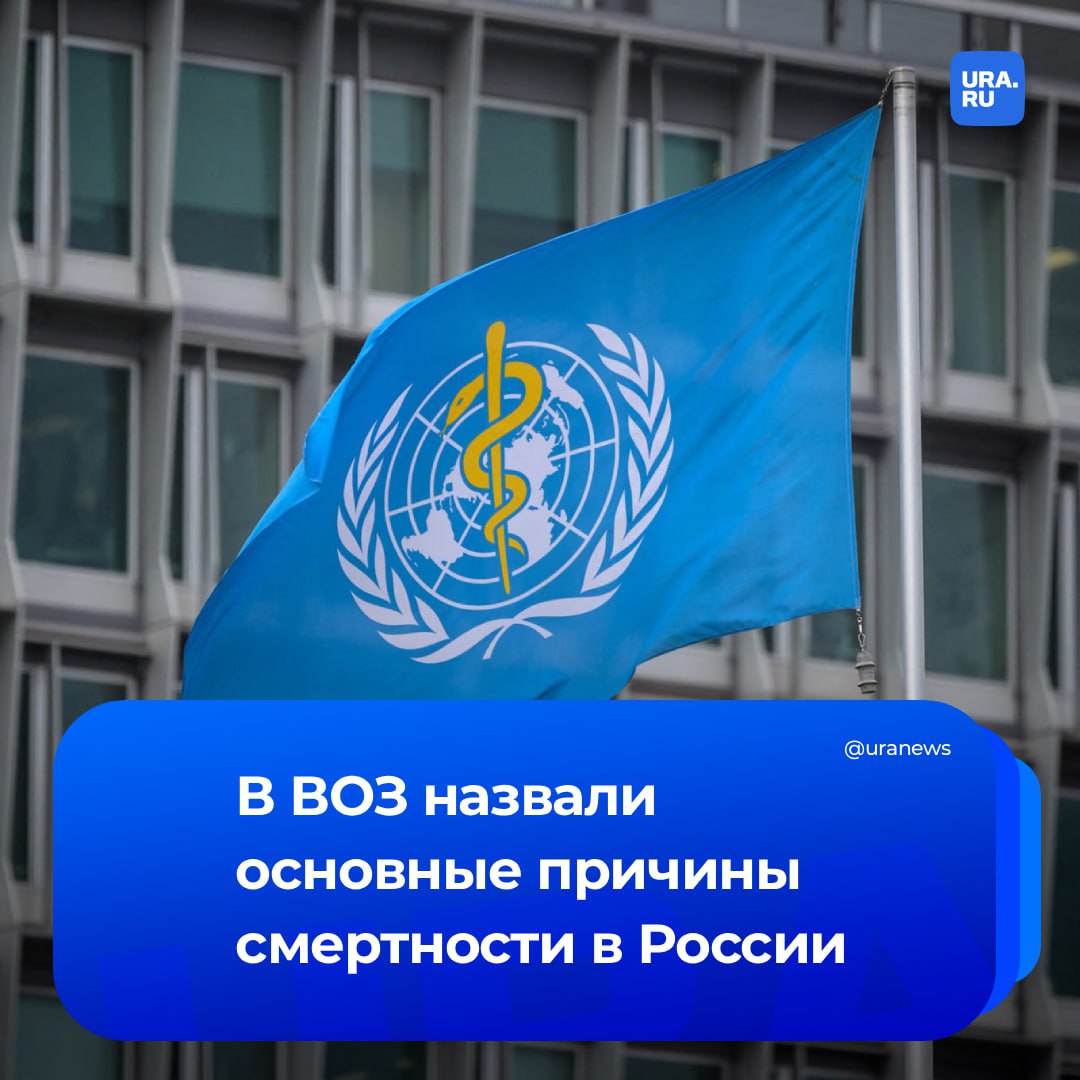 Большая часть смертей в России связана с заболеваниями сердца сосудов злокачественных новообразований и сахарным диабетом заявил глава офиса ВОЗ в Москве Батыр Бердыклычев Согласно статистическим данным основное бремя заболеваний в России обусловлено прежде всего неинфекционными хроническими заболеваниями такими как болезни сердца и сосудов злокачественные новообразования хронические респираторные заболевания сахарный диабет На эти заболевания приходится более 80 всех смертей в стране сказал Бердыклычев РИА Новости Он отметил что важно помнить о факторах риска которые способствуют развитию этих заболеваний злоупотребление алкоголем курение повышенное артериальное давление высокий уровень потребления соли нездоровое питание и загрязнение воздуха Подписаться на URA RU мы в MAX