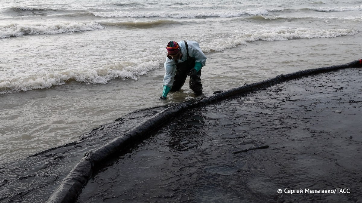 РАН провела первую экспедицию по изучению последствий нефтеразлива в Черном море, сообщили ТАСС в пресс-службе.  Через месяц ученые сделают выводы о степени загрязнения моря и его влияния на живую природу.     / Наука