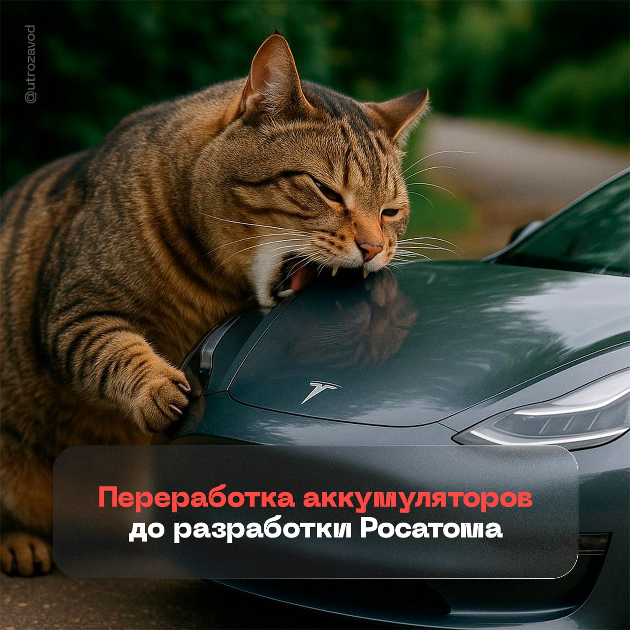 Росатом научился перерабатывать отработанные аккумуляторы в промышленных масштабах Сейчас этим в России в ничтожных количествах пытаются заниматься частные компании. На первом этапе переработки получается субстанция под загадочным названием «черная масса» — концентрат лития, кобальта, никеля и марганца. Следующий этап — утилизация «черной массы» с получением на выходе солей ценных элементов. И все это ради одной великой цели — создать замкнутый цикл производства и переработки литий-ионных аккумуляторов. Как тебе такая батарейная реинкарнация, Илон Маск? #эко начинается с завода