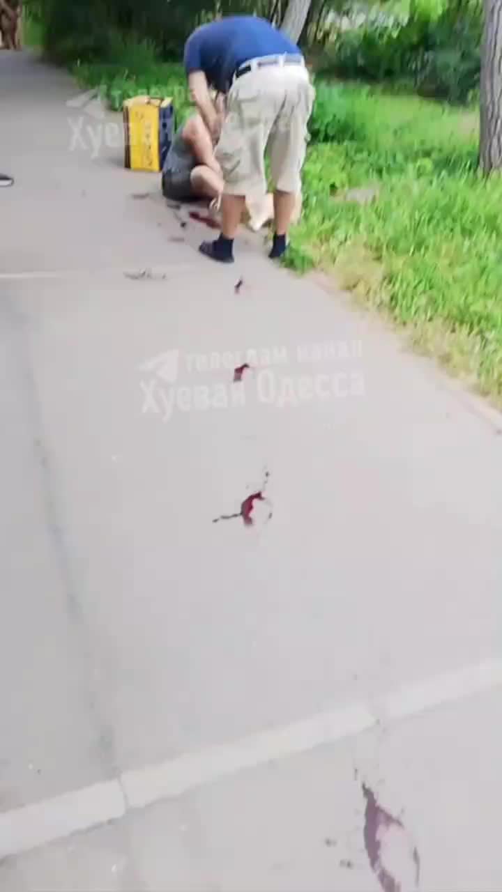 Собака напала на женщину в Находке, но пострадавшая осталась невредимой