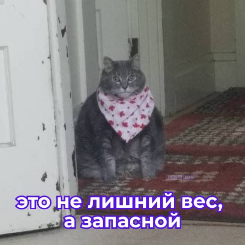 Жир на животе может вызывать бессонницу и депрессию. Учёные выяснили, что каждый дополнительный сантиметр в талии увеличивает риск бессонницы на 13%. Всё из-за хронических воспалений, гормональных сбоев и нарушенной микрофлоры. Связь есть и с депрессией — около 14% проблем со сном напрямую связаны с ней.