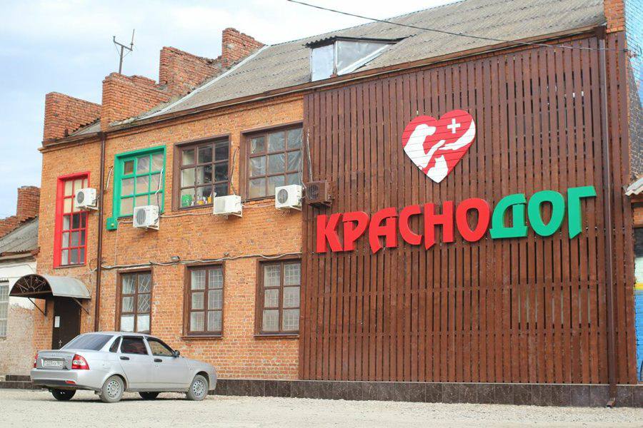Краснодарский приют «Краснодог» объявил о закрытии из-за долгов и переполненности Приют, работающий уже 22 года, столкнулся с нехваткой денег на лекарства, вакцины, зарплаты сотрудникам и содержанием животных, а также с отсутствием мест для новых постояльцев. «Кажется, мы закрываемся… Это не кликбейт, а крайняя мера в нашей реальности», — заявили представители приюта. Они рассказали, что каждый месяц организация уходит в минус на 1,5 миллиона рублей, а поставщики подают в суд из-за неоплаченных счетов за препараты. «Если бы всего 1 500 человек оформили ежемесячный платёж в 1000 рублей, приют справился бы», — добавили в «Краснодоге», назвав это «последним криком о помощи». Ситуация осложняется переполненностью: в одном из отделений содержится 150 здоровых кошек, а в травматологии кошек размещают в собачьих клетках из-за нехватки мест. _____________________________ Есть интересная новость? Присылайте нам Краснодар Сегодня ПРИСЛАТЬ НОВОСТЬ