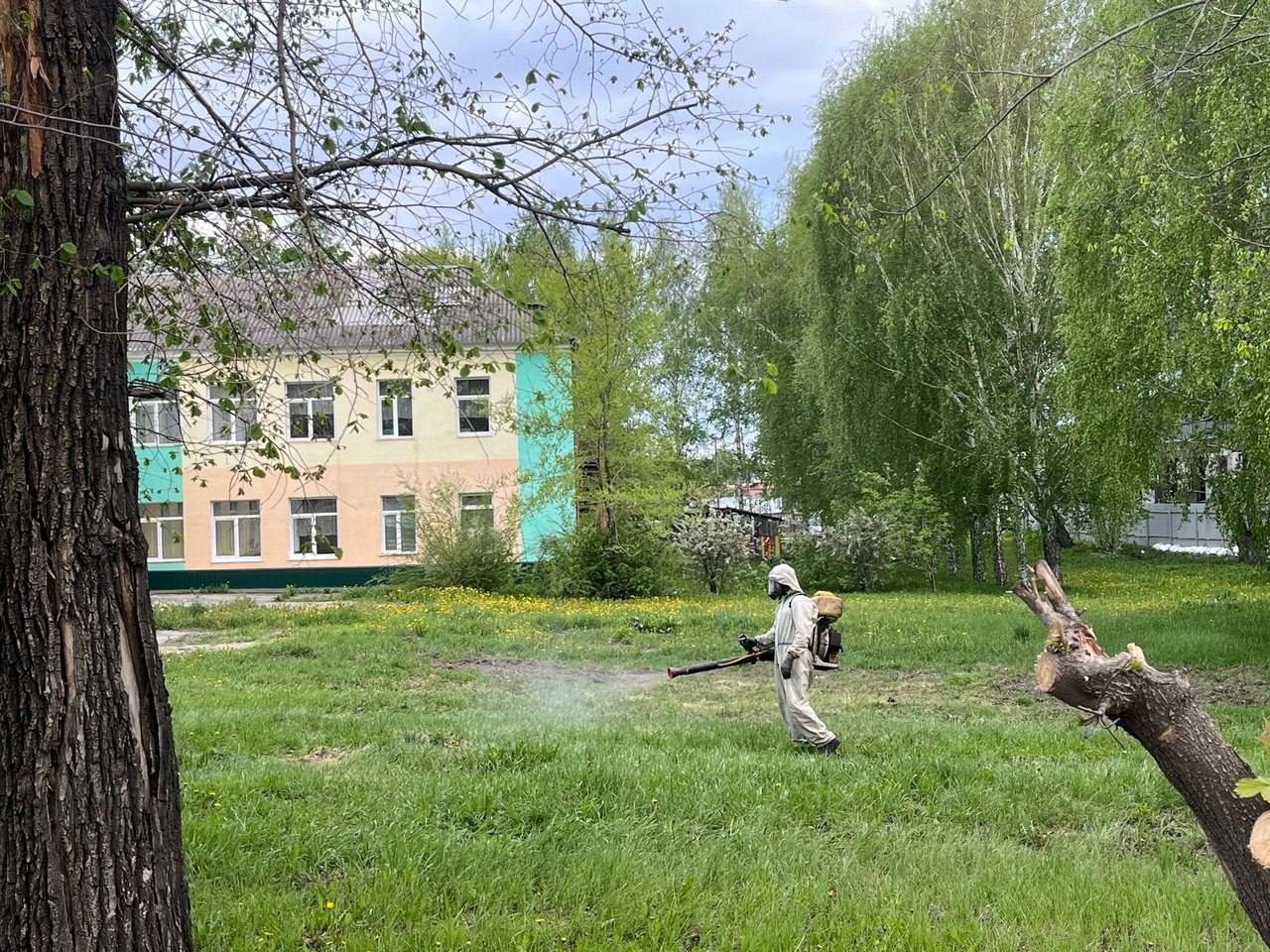 Барнаул начали обрабатывать от комаров Администрации районов и МБУ «Благоустройство и озеленение» готовятся к проведению инсектицидной обработки от комаров. В Октябрьском районе работы уже начались, сообщает мэрия. На территориях Ленинского, Железнодорожного, Центрального и Индустриального районов к работам приступят в конце мая или начале июня. Обработку проведут в два этапа. Интервал между процедурами составит около двух недель в зависимости от погодных условий. Всего специалисты обработают свыше 250 общественных пространств и озелененных территорий города, а также 10 прибрежных зон.