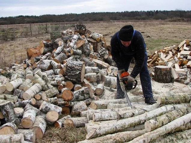 Жителю Ростовской области грозит до семи лет лишения свободы за незаконную вырубку деревьев, принадлежащих донскому правительству.  Инцидент случился накануне в Тарасовском районе, где местный житель решил сделать заготовку дров.  По данным следствия, 57-летний Дмитрий Богданенко, используя цепную бензопилу, незаконно проник на участок земли в 3,5 км от слободы Большинка и спилил 11 деревьев породы «белая акация».   Общий объем незаконно заготовленной древесины составил 2,058 кубометра, что оценивается в 207 744 рубля.   Вырубленные деревья принадлежат Правительству Ростовской области.  Как выяснили лесхозинспекторы, Богданенко проживает в слободе Большинка на улице Щаденко, не имеет судимостей и постоянного места работы.   Мужчине грозит уголовное дело по ч. 3 ст. 260 УК РФ  незаконная рубка лесных насаждений, причинившая крупный ущерб  и до 7 лет лишения свободы со штрафом до трех миллионов рублей.  Фото для иллюстрации.   Новости №1 в Ростове  Прислать новость/фото