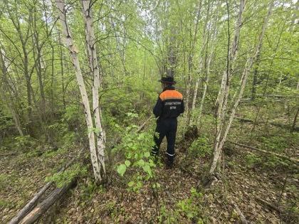 На Намцырском тракте снова пропал грибник - идут поиски 30 июля в 22:41 в систему 112 поступило сообщение о пропаже мужчины на Намцырском тракте. По предварительным данным, 59-летний житель отправился собирать грибы в районе 39–40 километра и не вышел к дороге. Как сообщили в Службе спасения Якутии, у пропавшего есть проблемы со здоровьем, что вызывает особое беспокойство. На его поиски направлены три спасателя. Примечательно, что до этого те же сотрудники только что вернулись с другого выезда: они искали мужчину, заблудившегося на Вилюйском тракте. К счастью, тот смог самостоятельно выбраться из леса и вернулся домой. О его благополучном возвращении спасатели узнали в 21:28, всего за час до нового сигнала. Служба спасения призывает жителей соблюдать осторожность при выездах на природу. Особенно это касается пожилых людей и тех, кто страдает хроническими заболеваниями. Фото: архив Службы спасения Якутии