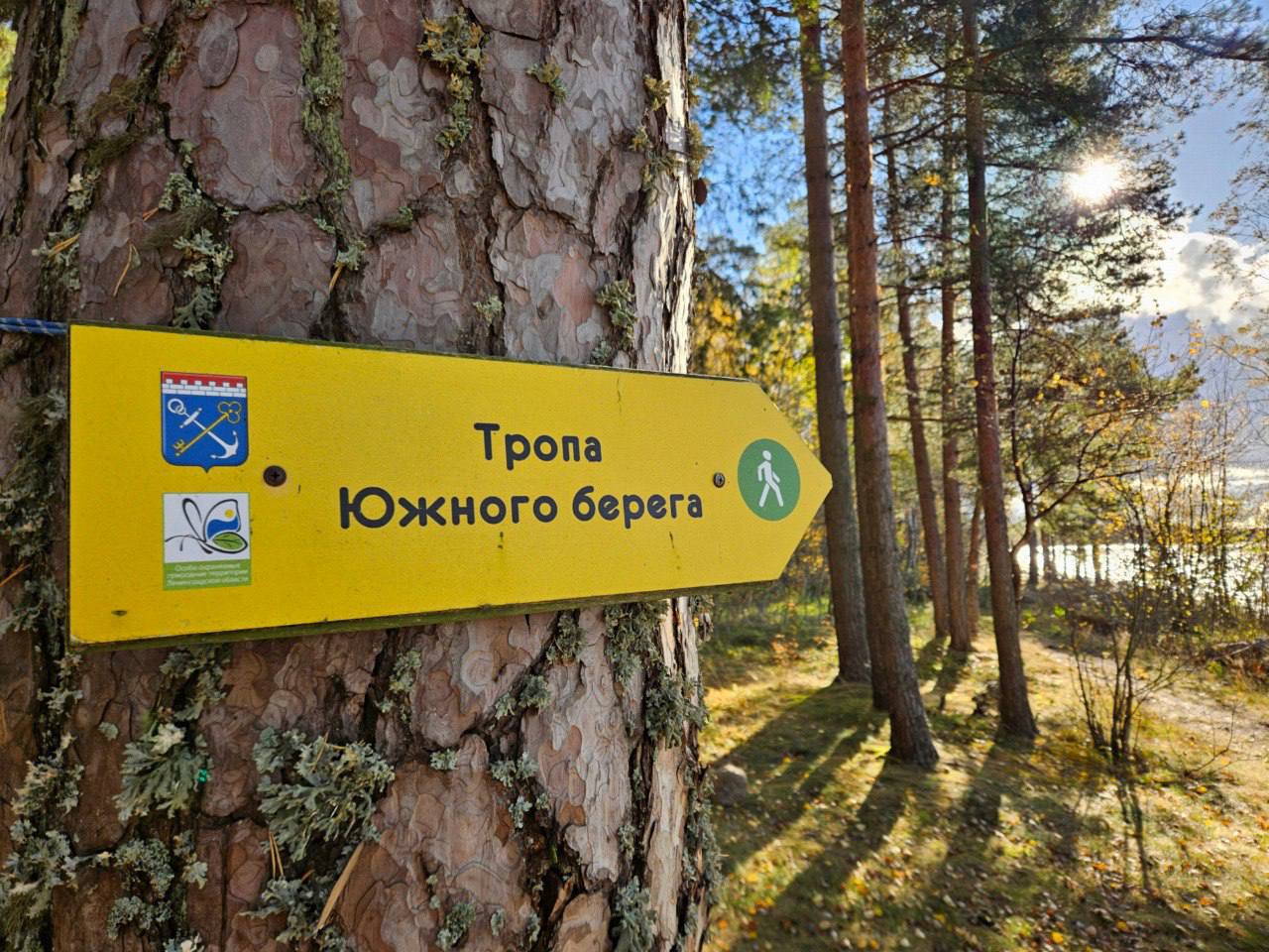 Около 1 5 млн человек в этом году посетят экотропы Ленобласти В Ленинградской области по 2025 г число посетителей природных маршрутов может достичь 1 5 млн человек В 2024 г экотропы посетили 1 млн человек Об этом рассказала зампредседателя Ленинградского областного отделения Всероссийского общества охраны природы Наталья Калягина на онлайн конференции Экологический контроль и экопросвещение новые вызовы и возможности организованной изданием Ведомости Северо Запад 29 октября  Всего в Ленинградской области создана 51 экологическая тропа общая протяженность которых составляет более 430 км По словам Калягиной в ближайшей перспективе в регионе планируют открыть еще шесть маршрутов  Одним из них станет Большая Ладожская тропа протяженность которой по разным оценкам составит от 800 до 1500 км Другим маршрутом станет Саблинский водопад на территории которого планируют построить мини геопарк ГрантГубернатораЛО Дирекция ООПТ Ленинградской области Подпишитесь на Ведомости Северо Запад