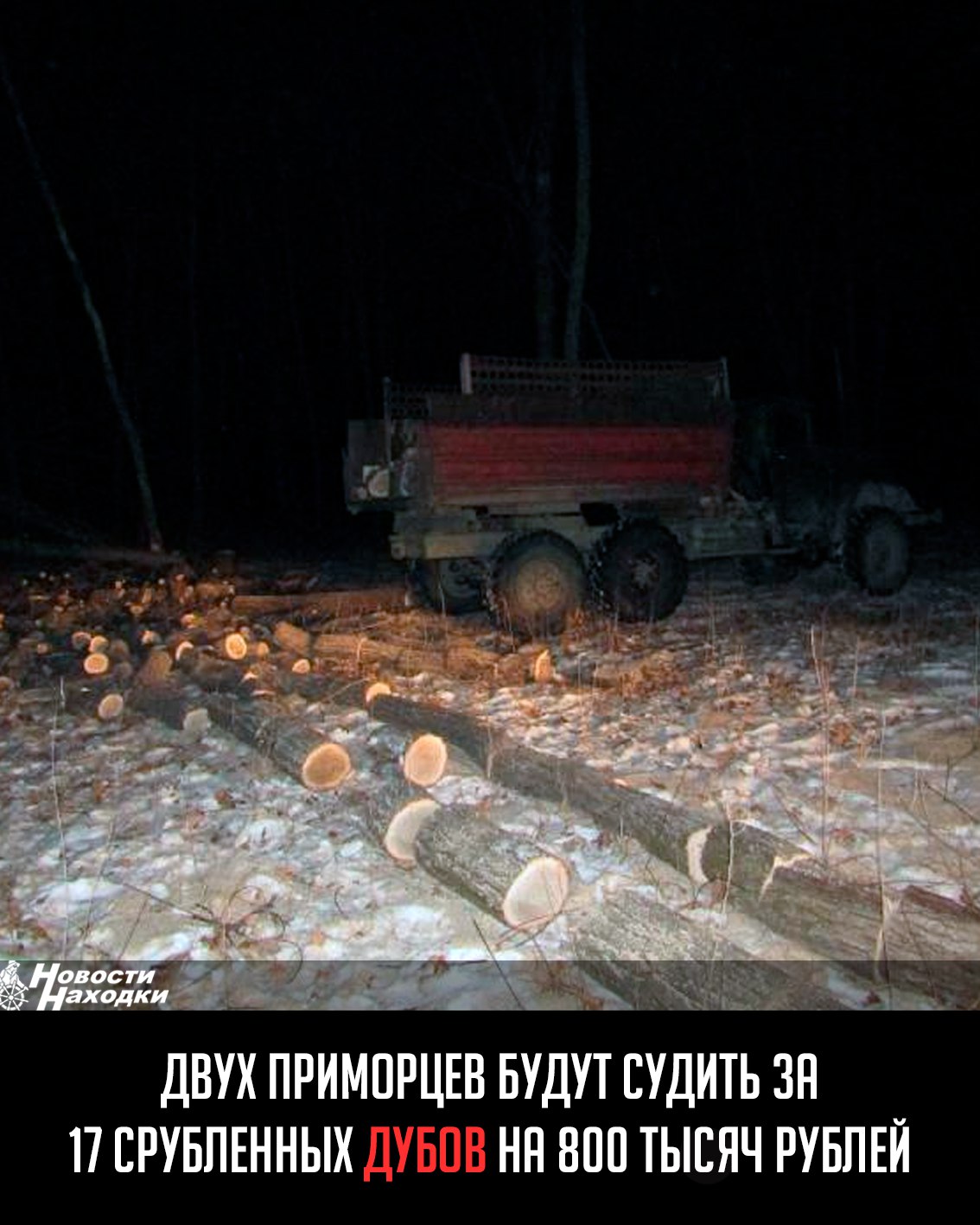 Двух жителей Хорольского округа будут судить за 17 срубленных дубов. Ущерб лесному фонду превысил 800 тысяч рублей. Следователем установлено, что 45-летний мужчина вступил в сговор с 25-летним парнем и без оформления необходимых документов спилил в лесу около села Камышовка 17 сырорастущих деревьев породы «Дуб монгольский». При сборе доказательств по уголовному делу по месту жительства были произведены обыски. В доме 45-летнего мужчины обнаружены и изъяты высушенные части растений. Проведённая экспертиза подтвердила, что это конопля массой 9,60 грамма, что квалифицируется как значительный размер. В отношении чёрного лесоруба возбуждено ещё одно уголовное дело по ч. 2 ст. 228 УК РФ «Незаконные приобретение, хранение наркотических средств». Мужчина дал признательные показания и пояснил, что собрал наркосодержащее растение в лесном массиве и хранил для личного потребления без цели сбыта. Уголовные дела соединены в одно производство.