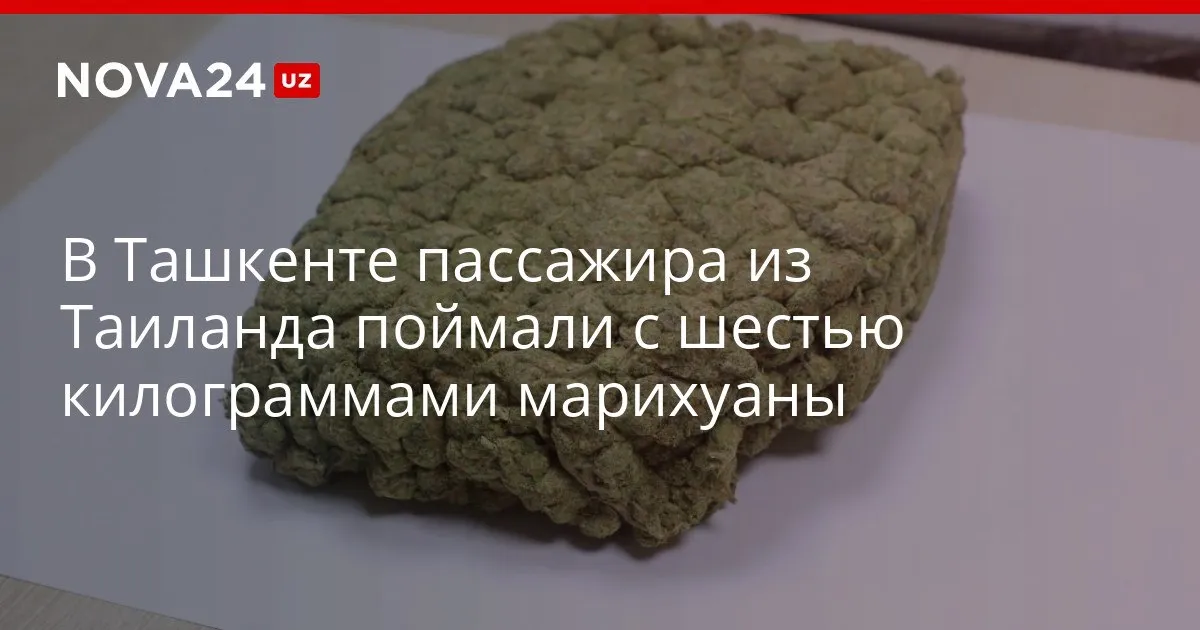 В Ташкенте пассажира из Таиланда поймали с шестью килограммами марихуаны По факту возбуждено уголовное дело nova24 uz 326563 YouTube Instagram Telegram