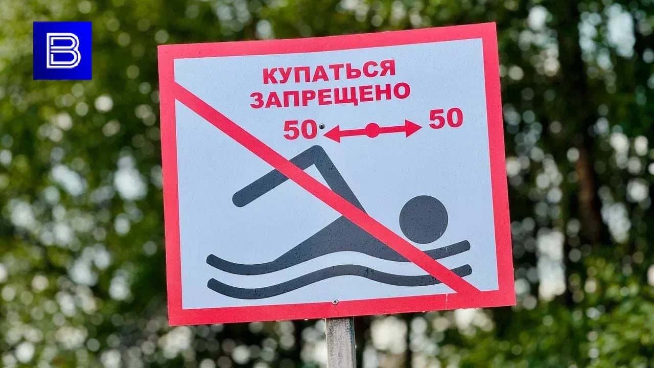 Рыбак утонул на Верхнетуломском водохранилище вечером 3 августа Прибывшие на место происшествия сотрудники Мурманского арктического комплексного аварийно-спасательного центра достали тело мужчины из воды и передали родственникам. Чтобы отдых не обернулся трагедией спасатели напоминают гражданам о правилах безопасности на воде: не стоит купаться в нетрезвом состоянии, важно следить за детьми и не оставлять их без присмотра. Подпишись — Вести Мурман