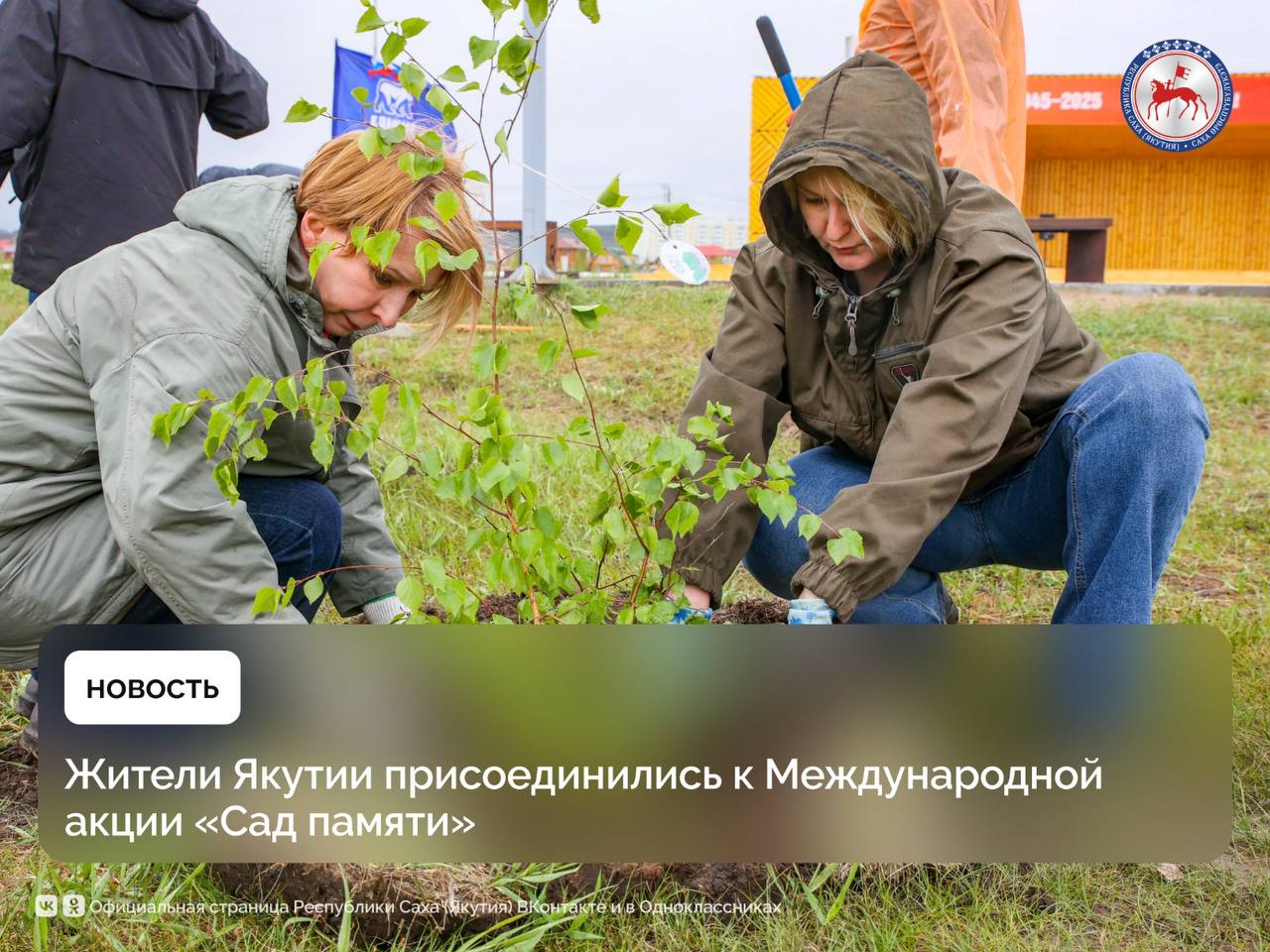 В Якутске в Парке Победы 30 мая в рамках Международной весенней акции «Сад памяти» посадили саженцы ели и берёзы. Полюбившаяся народу акция проводится по поручению президента России Владимира Путина, который в 2020 году высадил своё памятное дерево на территории Ржевского мемориала. В этом году проект приурочен к 80-летию Победы в Великой Отечественной войне. Заместитель Председателя Правительства Республики Саха Якутия Ольга Балабкина призвала участников посадки саженцев помнить о значении сохранения памяти о героическом подвиге и тяжёлых потерях народа в годы самой жестокой в истории человечества войны. Участница акции, ветеран Гагаринского округа Якутска Варвара Дьяконова рассказала, что в прошлом году тоже принимала участие в акции «Сад памяти». «У нас есть клуб скандинавской ходьбы. Каждый день мы приходим в Парк Победы, проводим зарядки, ходим, дышим свежим воздухом, любуемся природой, деревьями. Поэтому принимаю участие в этой акции. После посадки важно правильно ухаживать за саженцами, поливать их. Такие акции очень нужны. Особенно для молодёжи и детей. Они помогают привить детям чувства патриотизма, любви к истории Родины и учат беречь природу»,– добавила Варвара Дьяконова. Подробнее: #ПравительствоЯкутии