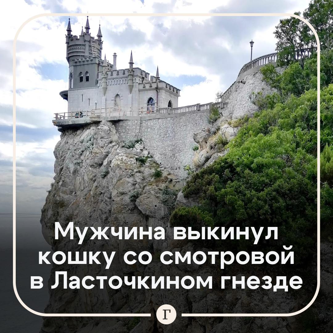 В Крыму неизвестный швырнул с обрыва кошку из Ласточкиного гнезда.   Скорее всего, она не выжила, внизу только море и скалы. Кошку звали Муся, она жила там 10 лет, встречала гостей и была местной знаменитостью, рассказали сотрудники.  По их словам, неизвестный вначале погладил животное, а когда увидел, что рядом никого нет, отнес на смотровую и выкинул.   Виновного ищут.    — Как так можно   — Мужчина должен понести наказание