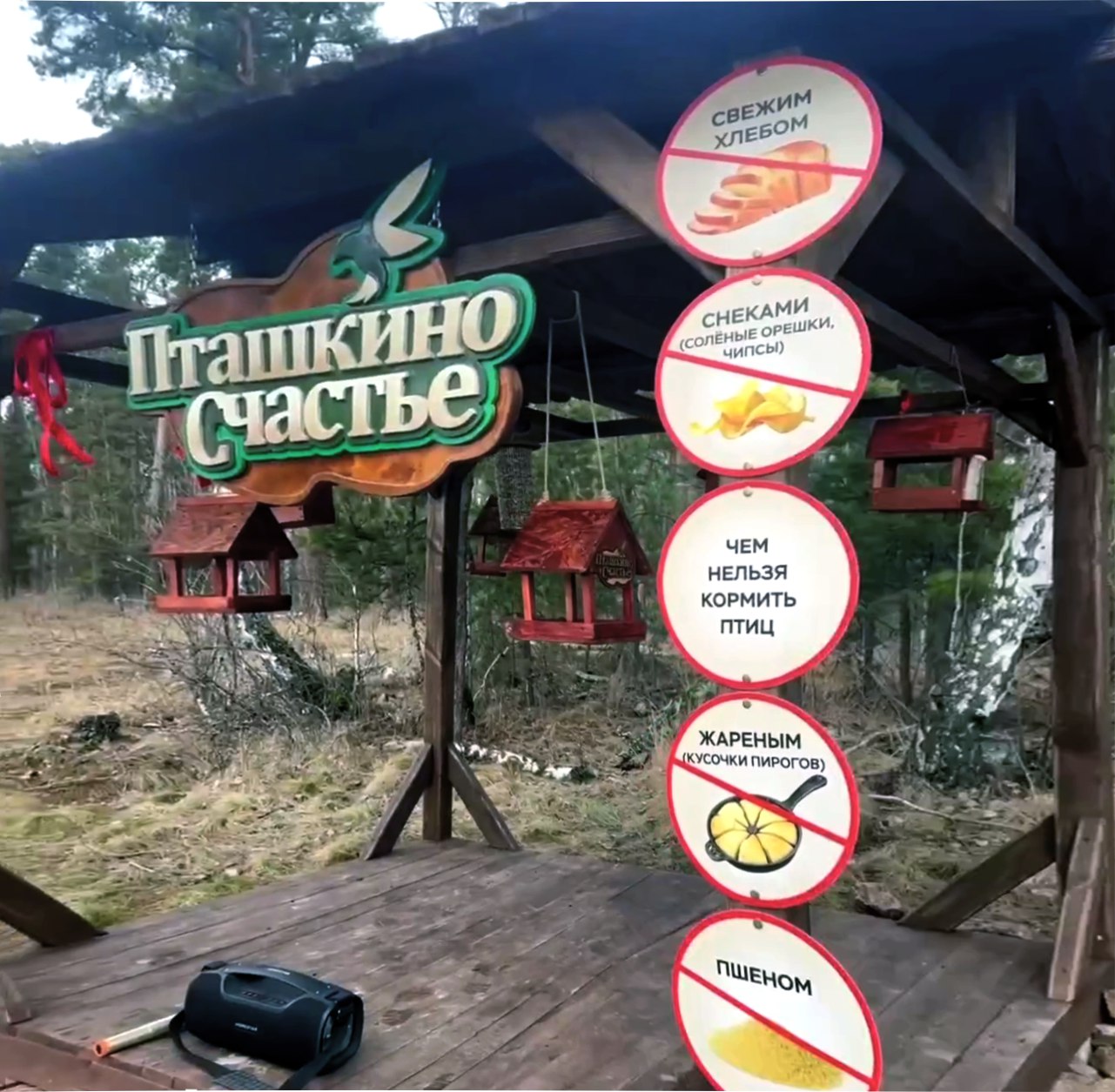 В Челябинском бору открыли столовую для птиц Пташкино счастье   gubernia74 ru articles society 1136996 В урочище Монахи в Челябинском городском бору появилась необычная столовая для птиц под названием Пташкино счастье Жители города установили здесь крытую площадку с яркими кормушками которые могут пополнять едой все желающие   t me chgub