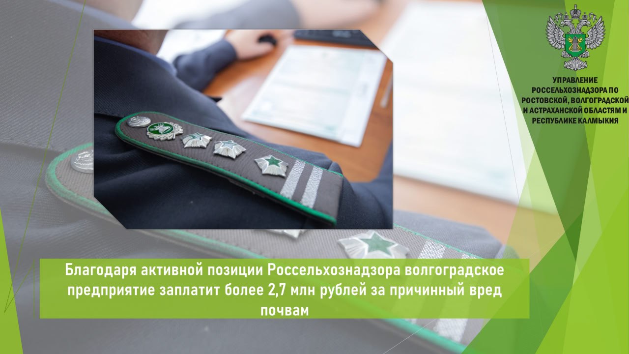 В адрес Управления Россельхознадзора поступило определение суда, которым оставлено без изменения решение суда первой инстанции о возмещении МУП ЖКХ «Кировское КХ» ущерба в размере более 2,7 млн рублей, причиненного сельхозугодьям в границах Светлоярского района Волгоградской области. Ранее установлено, что на земельном участке из-под земли происходит излив канализационных стоков. Сточная вода стекала по рельефу местности, затапливая грунтовую дорогу и сельхозугодия. Согласно заключению испытательной лаборатории, установлено превышение ПДК свинца и цинка. На основании материалов Россельхознадзора межрайонный природоохранный прокурор обратился в суд с требованием о взыскании ущерба, причиненного сельхозугодьям. В феврале районным судом исковое заявление удовлетворено. Открыть полный текст #Земельный_надзор #Свалки
