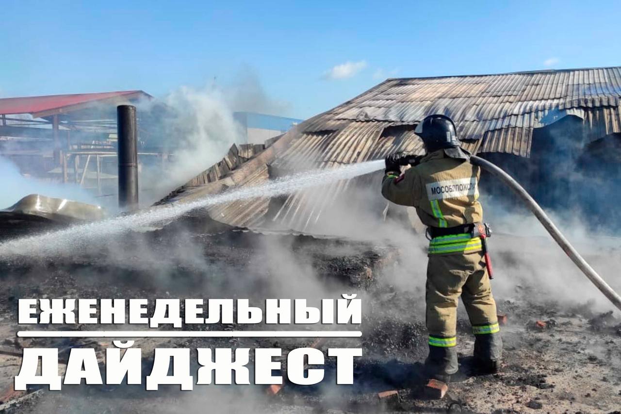 Друзья Публикуем дайджест самых интересных новостей за прошедшую неделю   Взрывотехники ГКУ МО Мособлпожспас обезвредили боеприпас времён ВОВ в Дмитровском округе   Подборка захватывающих сериалов о тех кто ежедневно рискует жизнью ради спасения других   Крупный пожар в элитном посёлке Красногорска как пожарные спасли дом от полного разрушения   Спасение в Егорьевском лесу спасатели Мособлпожспас оказали помощь женщине с травмой ноги   Спасатели Мособлпожспас освободили двухлетнюю девочку заблокированную в машине   Тайна пропавшего охотника дело закрыто   Спасатели пришли на помощь пожилому мужчине в Шатуре   Мособлпожспас испытание на прочность в сибирских условиях   Свадебный бум в пожарной части   И снова спасатели Мособлпожспас помогли животным оказавшимся в беде Подписаться на ГКУ МО Мособлпожспас