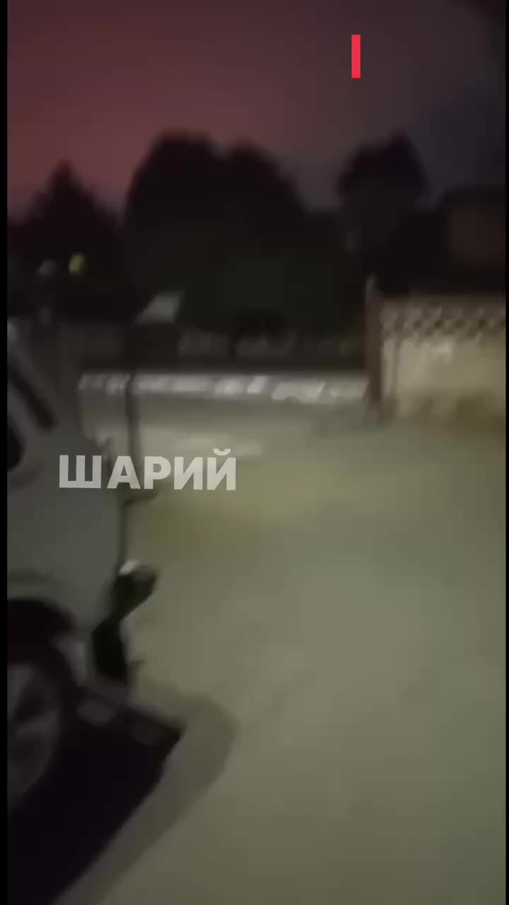 Кевин Лик пытается сжечь российский паспорт в знак протеста