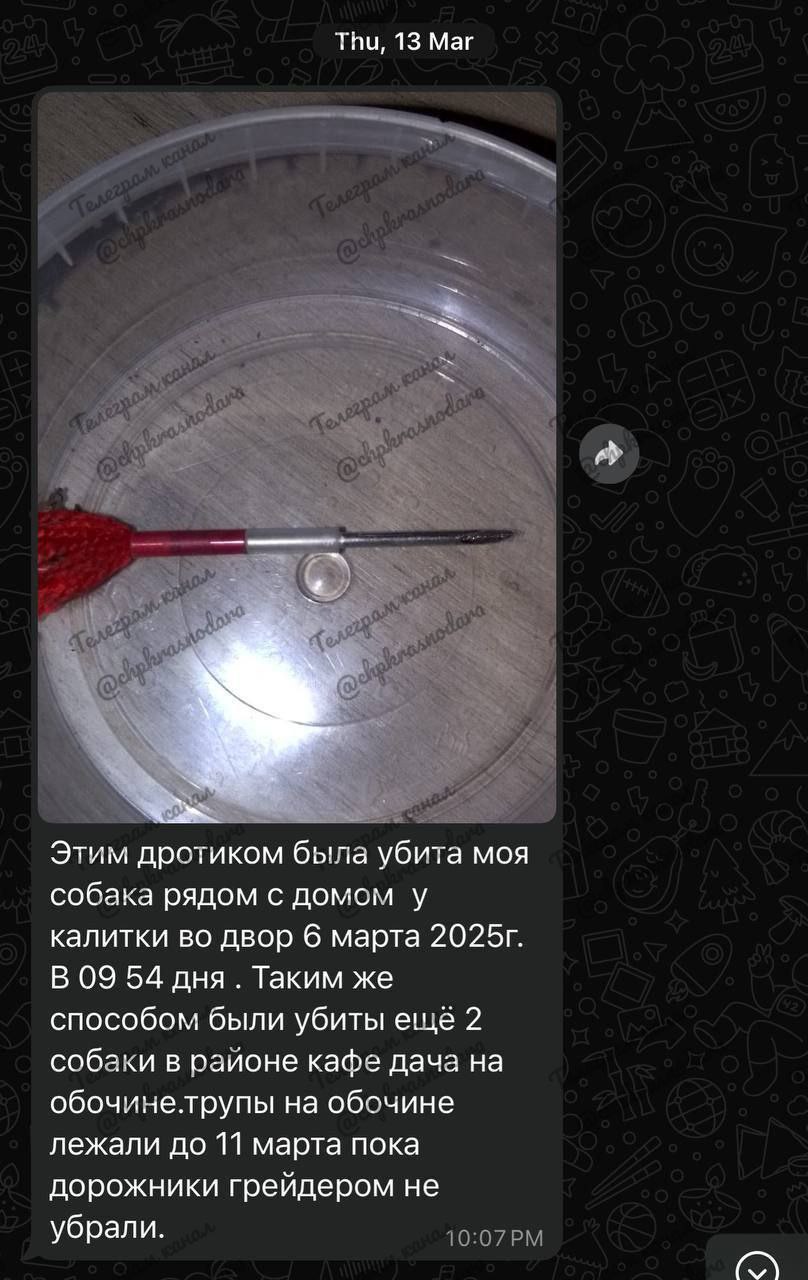 В полицию Ленинградского района поступило сообщение о жестоком обращении с животными в станице Ленинградской отстреле собак в районе . В настоящее время проводится проверка, устанавливаются все обстоятельства произошедшего. Полиция Кубани