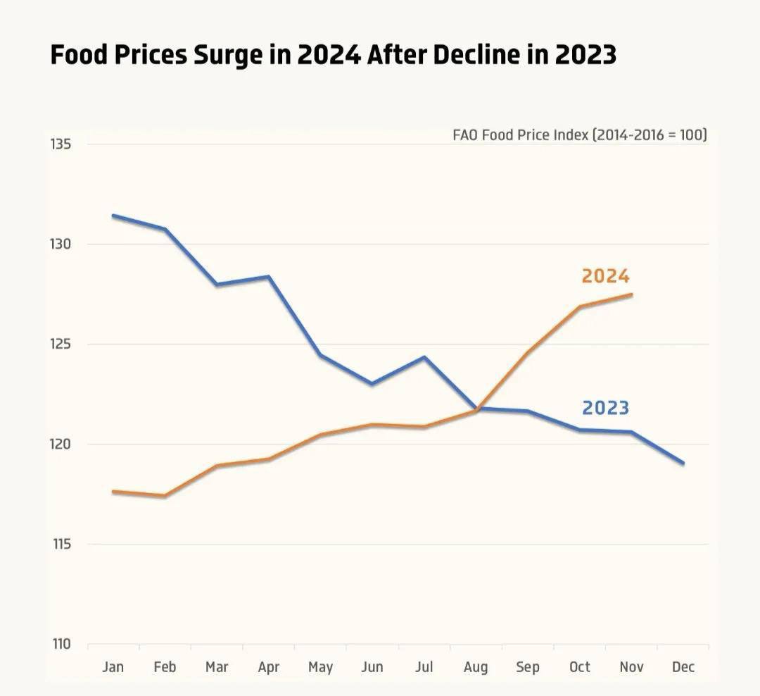 Продукты питания могут стать недоступной роскошью: в 2024 году мировой индекс цен на продукты вырос на 8,4%, перекрыв снижение на 8,2% в 2023 году.