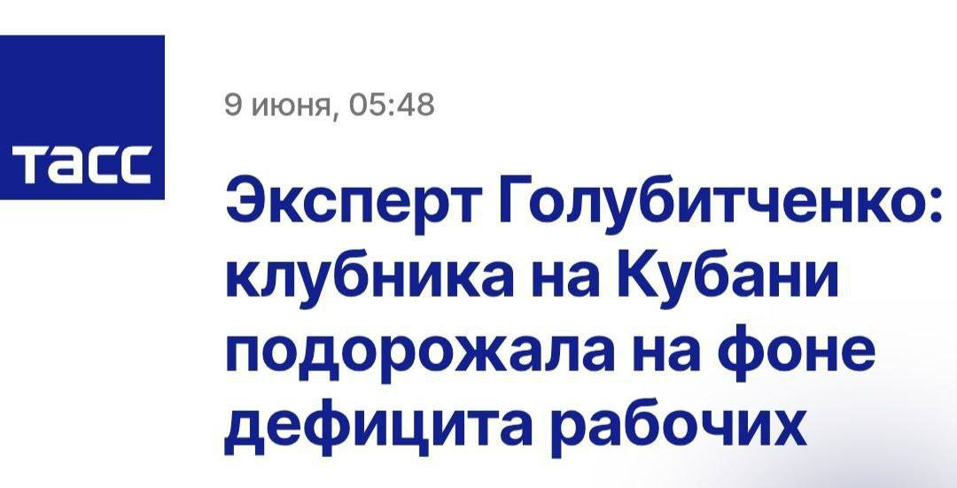 Клубника дорожает из-за нехватки рабочих рук в Краснодарском крае, заявил ТАСС экологического совета при губернаторе края Вениамин Голубитченко. У нас сейчас проблема с ручным трудом. Также сократился приток трудовых мигрантов, которые там работали. Это вносит весомую лепту в удорожание многих продуктов сельского хозяйства. Основная масса трудоемких задач решалась людьми, которые не брезгуют сельскохозяйственным трудом. Не все способны работать на жаре, холоде и в снегопад. Это резко удорожает и уменьшает урожай, — сказал Голубитченко. Подписаться: Обратная связь: Чат для общения