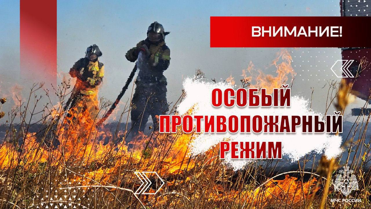 2 0 ПОЖАРОВ ПРОИЗОШЛО В ЭКОСИСТЕМЕ РЕСПУБЛИКИ ЗА МИНУВШИЕ СУТКИ Общая площадь уничтоженного сухостоя — более 56 гектаров. Сегодня в центральных, северо-восточных и юго-восточных районах Республики ожидается высокая пожароопасность 4 класс . ЗНАЙ! С 1 июня в Республике действует особый противопожарный режим. МЧС России предостерегает: не сжигай сухую траву; не бросай горящие спички и окурки; не разводи костры в лесу и вблизи природных массивов. Безопасность начинается с тебя! МЧС ДНР МЧС России