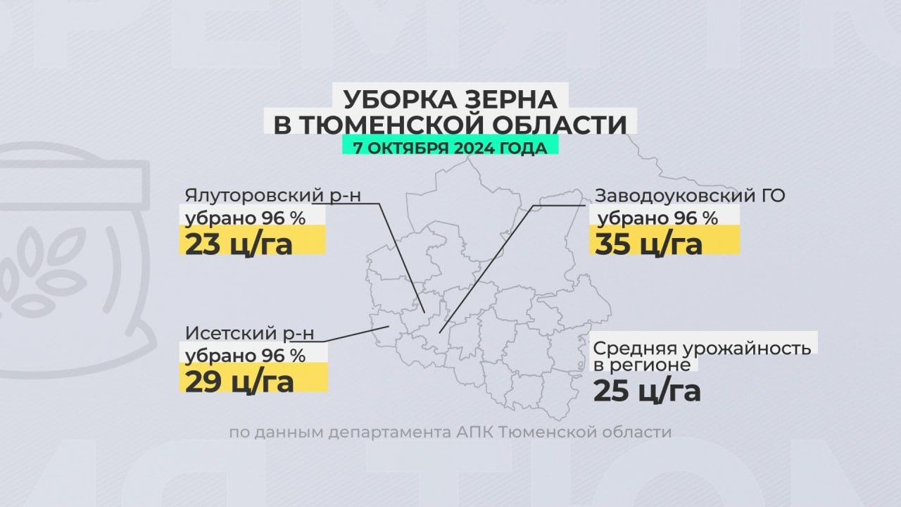 Уборка зерна в Тюменской области близится к завершению. Обработано уже 85 % посевных площадей.   Ближе всех к финишу аграрии Заводоуковского округа, Исетского и Ялуторовского районов. Средняя урожайность в регионе - 25 центнеров с гектара.   Собрано почти 1,5 млн тонн зерновых и зернобобовых. Что касается картофеля, то 5 из 13 районов уже завершили уборку.   Самый высокий показатель урожайности в Упоровском районе - 380 центнеров с гектара. На втором месте Армизонский. Валовой сбор картофеля в регионе - 182 тысячи тонн. Осталось обработать 7 % площадей.