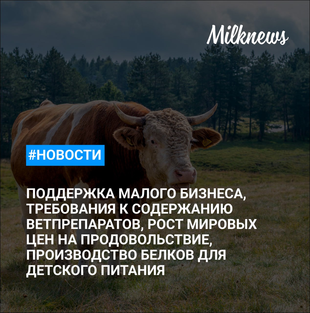 Правительство РФ в 2026 году ввело несколько новых направлений поддержки малого агробизнеса ЕАЭС ужесточит требования к остаточному содержанию ветпрепаратов в пищевой продукции В Башкирии к 2030 году откроются 50 современных молочных ферм Мировые цены на продовольствие в 2025 году повысились на 4 3 В Воронеже запатентовали технологии производства белков для детского питания