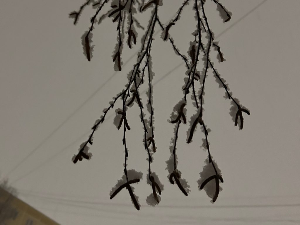 В Рязани продолжается мониторинг состояния атмосферного воздуха С 9 по 13 февраля передвижные эколаборатории отбирали пробы воздуха в разных точках областного центра Они работали на ул 1 я Нагорная ул Станкозаводская ул Черновицкая ул Сельских Строителей Славянский проспект ул Загородная ул Крупской ул Прудная и ул Телевизионная Пробы проверяли на наличие оксида углерода оксида азота диоксида азота сероводорода диоксида серы озона аммиака формальдегида метана фенола Превышения этих веществ в воздухе зафиксировано не было Также не выявили вредные выбросы стационарные посты наблюдения за состоянием атмосферного воздуха установленные в мкр Канищево Дашково Песочне и в районе Рязанского кремля