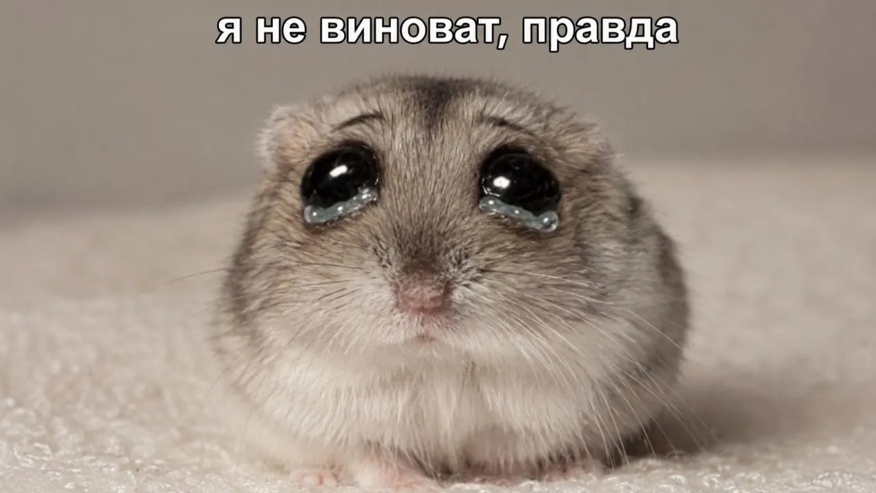 Хантавирус распространяют карликовые рисовые хомяки Природным резервуаром для вируса Андес одного из видов хантавируса является карликовый рисовый хомяк обитающий в Чили и Аргентине сообщили в Роспотребнадзоре Грызун не приспособлен к жизни в России поскольку ему не подходят местные климатические условия Это снижает риск появления такого типа вируса на территории РФ Чтобы хантавирус Андес не появился в нашей стране пограничная служба и Роспотребнадзор усилили пропускной контроль на границе России добавили в ведомстве Подписывайся на Readovka в МАКС