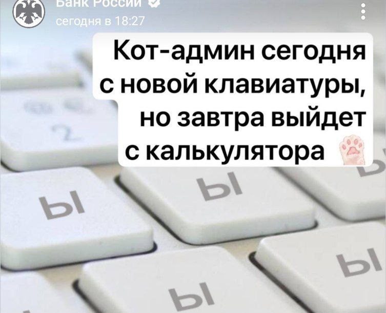 Банк России обвинил бедного кота в утреннем сбое в канале и выходе сообщения про Ыыыыыыыы   t me banksta 87411