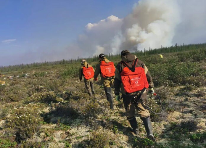 ‍  Три лесных пожара ликвидировали в Якутии за сутки  На начало суток 19 июля на территории республики действует три лесных пожара на площади шесть га.  Для сравнения: на эту же дату в прошлом году в Якутии было зарегистрировано 133 пожара на площади 897 тысяч гектаров.  Подробнее читайте по ссылке