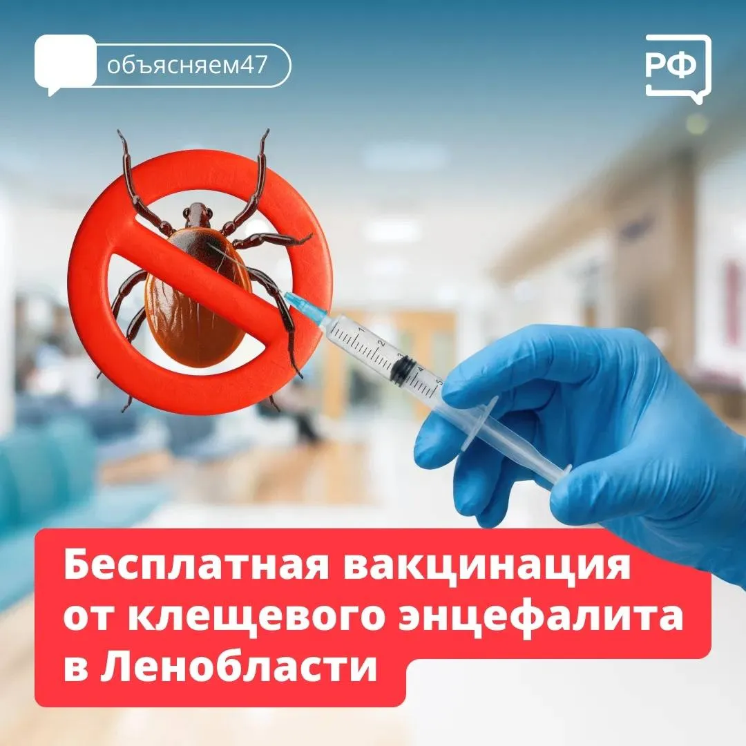 Клещи проснулись в Ленинградской области Самый надежный способ защиты от клещевого энцефалита это бесплатная вакцинация Рекомендуемый период для начала вакцинации с октября по март так организм успевает выработать надёжную защиту к апрелю когда активизируются клещи Однако сделать прививку можно круглый год Защита формируется после введения двух доз вакцины минимум через 2 3 недели после введения второй прививки Как записаться на бесплатную прививку в Ленобласти Обратитесь к терапевту в вашей поликлинике Врач выпишет направление на вакцинацию Прививка может быть противопоказана при хронических заболеваниях например сахарном диабете в стадии обострения острой инфекции в том числе ОРВИ аллергии особенно на яичный белок тяжёлой реакции на предыдущую прививку например с температурой выше 40 С Кроме того прививку от энцефалита не делают беременным женщинам