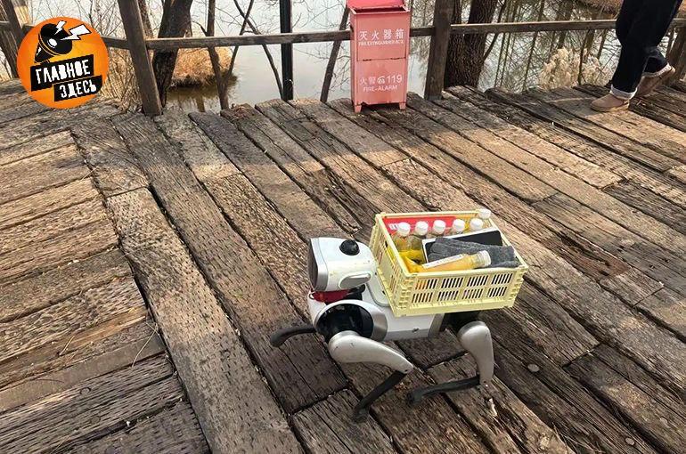 В Китае начались продажи роботов собак Цена такого питомца или помощника сопоставима со стоимостью продвинутого смартфона и составляет 1 1 4 Робопсов используют как для выполнения различных задач так и в качестве компаньона Главное здесь Подписывайтесь