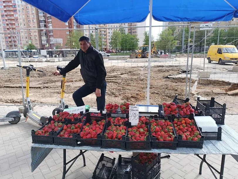Сотрудники Смольного с начала недели изъяли свыше 100 кг плодоовощной продукции Представители комитета по вопросам законности, правопорядка и безопасности Санкт-Петербурга за три дня изъяли более 100 кг плодоовощной продукции. Причиной стала незаконная торговля, сообщили в пресс-службе структуры городского правительства. В Приморском районе предприниматели нелегально торговали фейерверками, фруктами и овощами. Все товары забрали, автомобиль с молоком эвакуировали. В ходе рейда в Красносельском районе специалисты наткнулись на несанкционированную продажу овощей, фруктов и сезонных ягод. «Всего с начала недели составлено 28 протоколов, изъято 2 нестационарных торговых объекта, эвакуирован автомобиль. Изъято более 100 килограмм плодоовощной продукции»,— отметили в комитете. Фото: Комитет по вопросам законности, правопорядка и безопасности Петербурга