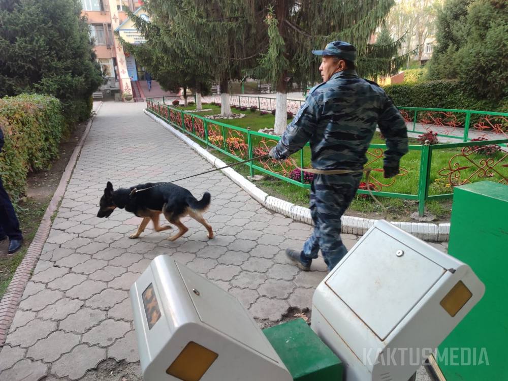 В школе в центре Бишкека искали бомбу  Милиция получила сообщение о "минировании" школы №5 в Бишкеке. Саперы проверили территорию и не обнаружили взрывного устройства.