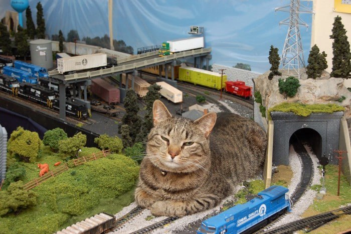 В Казани завершили проектирование кольцевой железной дороги Первым этапом планируют построить участок от Нового Аракчино до станции Казань 2 с прохождением через станцию Восстание   entermedia io news v kazani zavershili proektirovanie koltsevoj zheleznoj dorogi