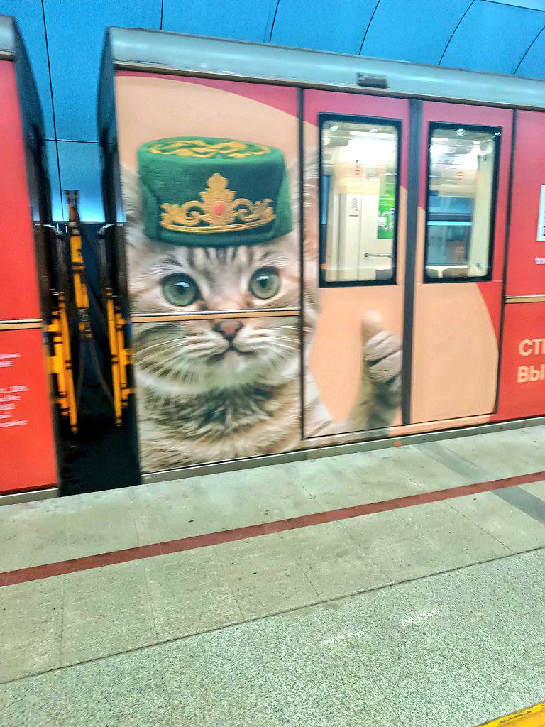 В казанском метро теперь курсируют поезда с милыми котами в тюбетейках — это традиционный татарский головной убор.