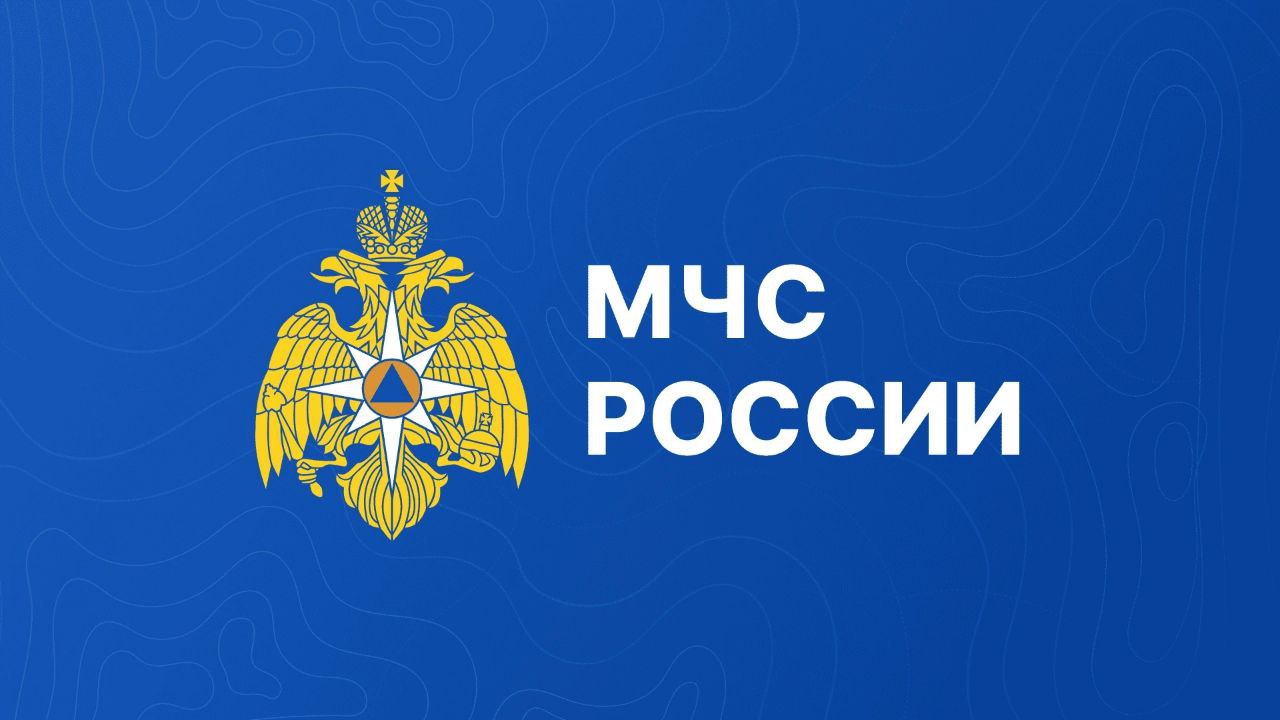 Более 270 административных дел возбуждено на нарушителей пожарной безопасности С начала года в Новосибирской области сотрудники госпожнадзора возбудили 278 дел за нарушение правил пожарной безопасности. Основными нарушениями во время действия особого противопожарного режима стали сжигание сухой травы, использование открытого огня и несвоевременная уборка участков от сухой растительности и мусора. Напоминаем, что с сегодняшнего дня особый противопожарный режим в Новосибирской области снят. Но расслабляться не стоит. С начала мая в регионе ликвидировано 415 пожаров, 253 из них – горение сухой растительности и мусора. При техногенных пожарах погибли 2 человека и 12 получили травмы. Сотрудники МЧС России спасли 24 человека. Помни о правилах пожарной безопасности: разводи открытый огонь только в специальных емкостях мангалах, жаровнях ; сжигай сухую траву и мусор в бочке не ближе 7.5 метров от строений; не оставляй костер без присмотра; уходя, затуши костер водой или землей.