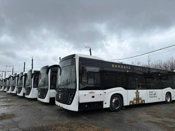С 2025 по 2026 год на обновление парка общественного транспорта в Алтайском крае планируют потратить 1,5 млрд рублей "Мы продолжим наращивать объемы финансирования для обновления парка общественного транспорта. На 2025 год выделяем чуть более миллиарда рублей, и еще чуть больше 500 млн рублей запланировали на 2026 год", – сообщил губернатор региона Виктор Томенко на сессии АКЗС, выступая с докладом о работе краевого правительства за прошедший год. Как уточнил губернатор, на эти средства закупят девять троллейбусов, 12 трамваев и 28 автобусов. Виктор Томенко также добавил, что в 2024 году в регионе приобрели 63 автобуса большого и малого класса, а также пять троллейбусов. На эти цели выделили более 500 млн рублей. Амик