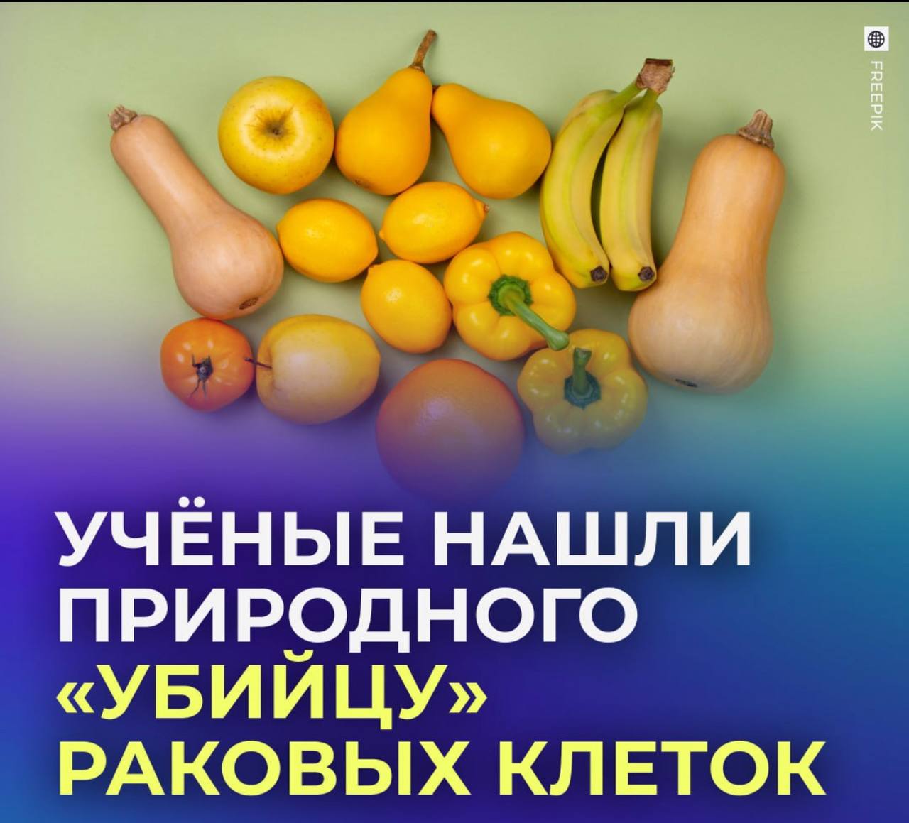Учёные нашли в продуктах жёлтого цвета пигмент зеаксантин который может помогать уничтожать раковые клетки Он придаёт жёлтый и оранжевый цвет кукурузе перцу манго а также присутствует в тёмно зелёных листовых овощах Исследования показали что зеаксантин усиливает работу иммунных CD8 T клеток которые находят и уничтожают опухолевые клетки и может замедлять рост рака добавляем кукурузу в рацион Связаться с нами Сообщить о ДТП Подписаться SVODKA138 Подписаться SVODKA138 Интеграция Telega in
