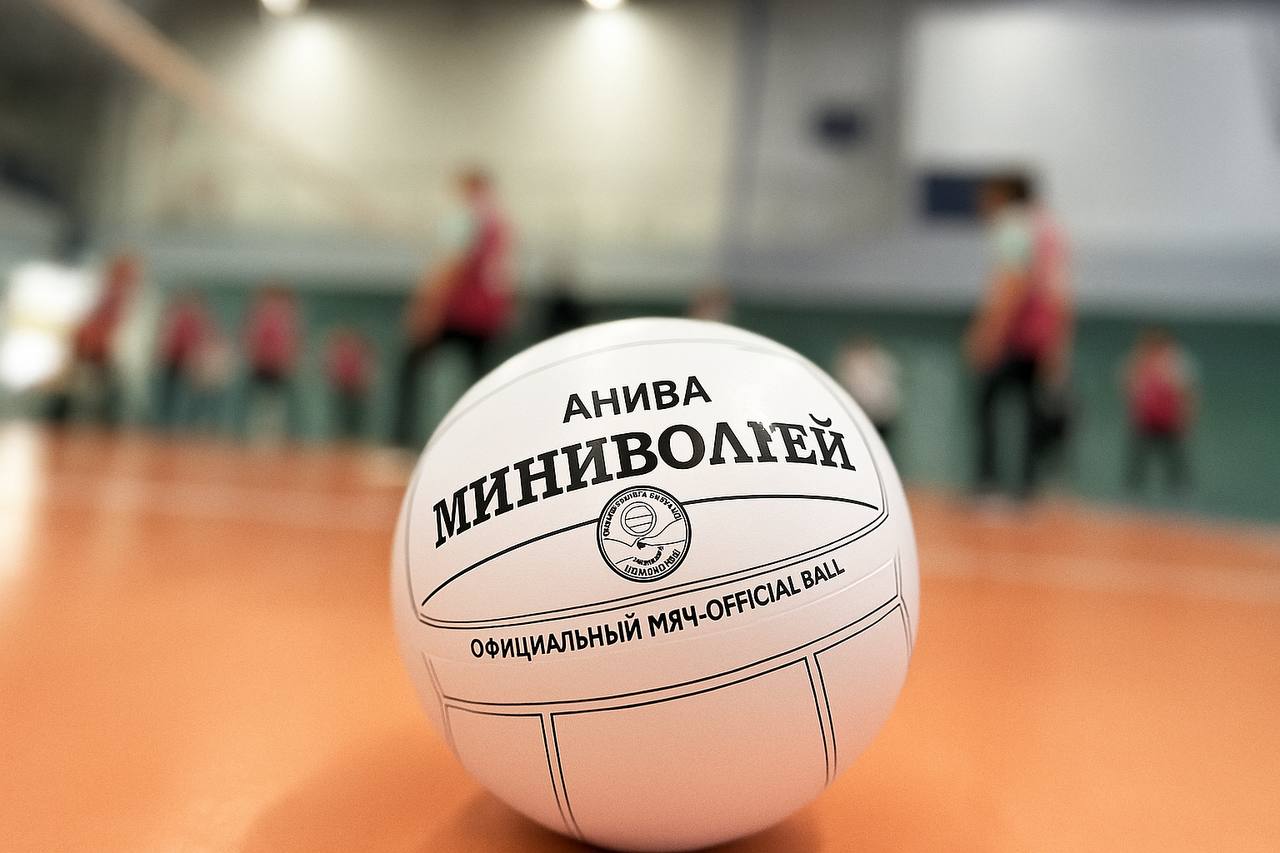 Приглашаем всех 2 ноября в 10 00 в спортивном зале МАУ ДО СШ г Анива состоится открытый турнир Анивского муниципального округа по японскому мини волейболу среди женщин Соревнования будут посвящены Дню народного единства Ждём болельщиков и любителей этого увлекательного вида спорта
