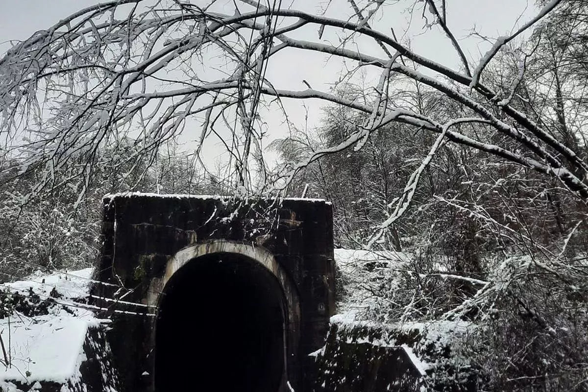 Несколько рейсов электропоезда Диоскурия который ежедневно ходит между Сириусом и Сухумом отменили Это связано с ухудшением погодных условий в Абхазии Накануне состав провел более трех часов в снежном плену Кубанские Новости Мы в MAX