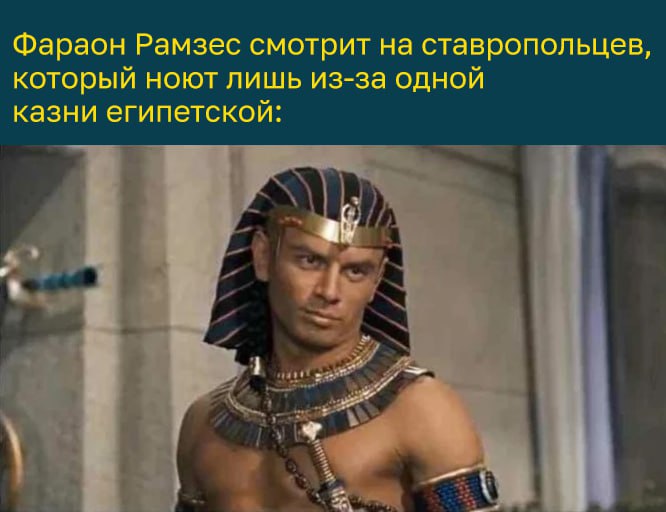 На Ставрополье нашествие саранчи: в нескольких округах выявили по две-пять особи на квадратный метр Одна из казней египетских оккупировала территории Арзгирского, Апанасенковского, Благодарненского, Курского, Нефтекумского, Левокумского, Степновского и Туркменского округов. При обследовании 275 тыс. га полей вредителей нашли на 141 тыс. га, сообщает пресс-служба Россельхозцентра. Уже встречали саранчу? Да, её полно! — Нет — В курсе Новости Ставрополья предложить новость