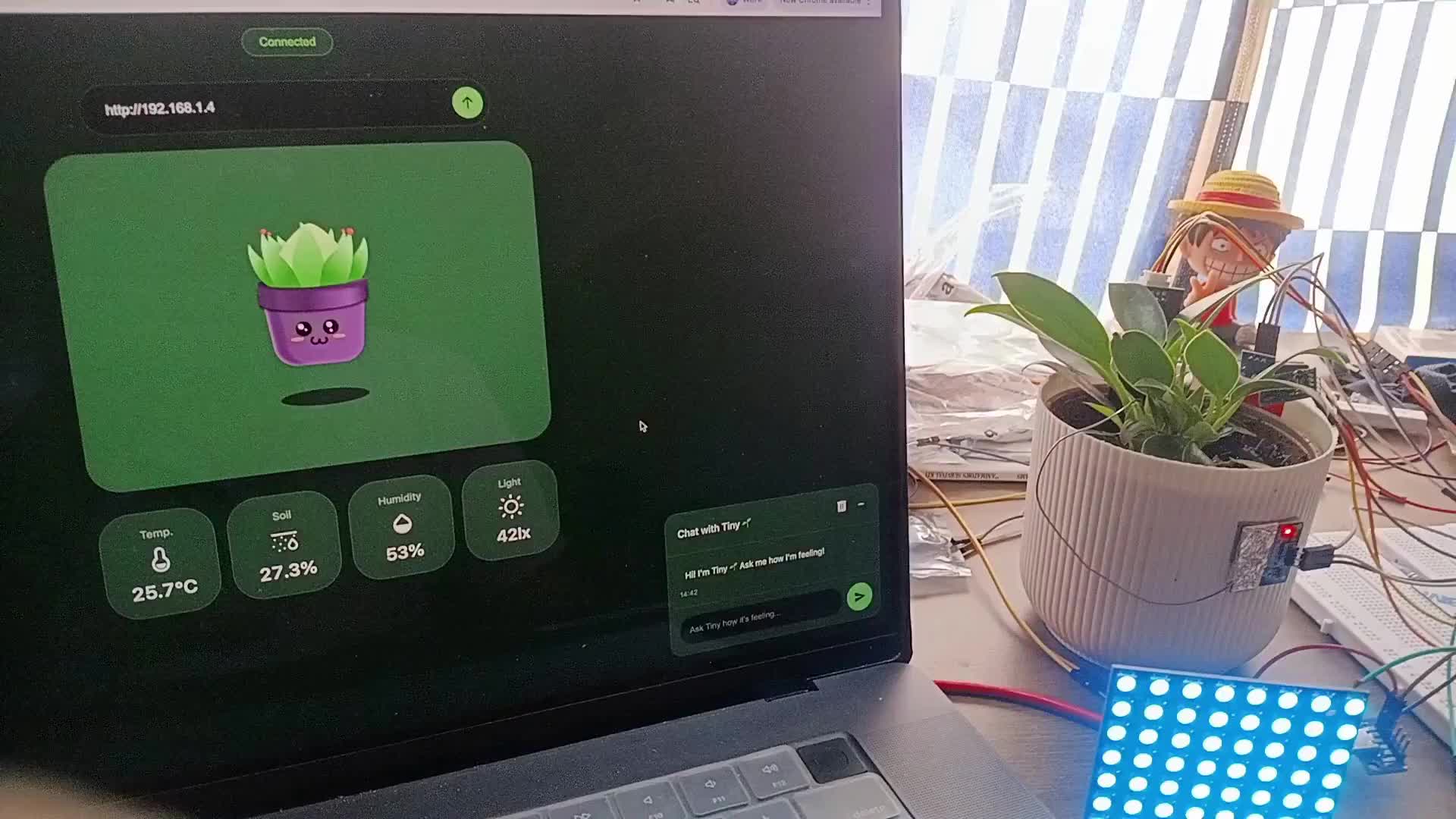 Парень создал тамагочи из растения с помощью ChatGPT и датчиков