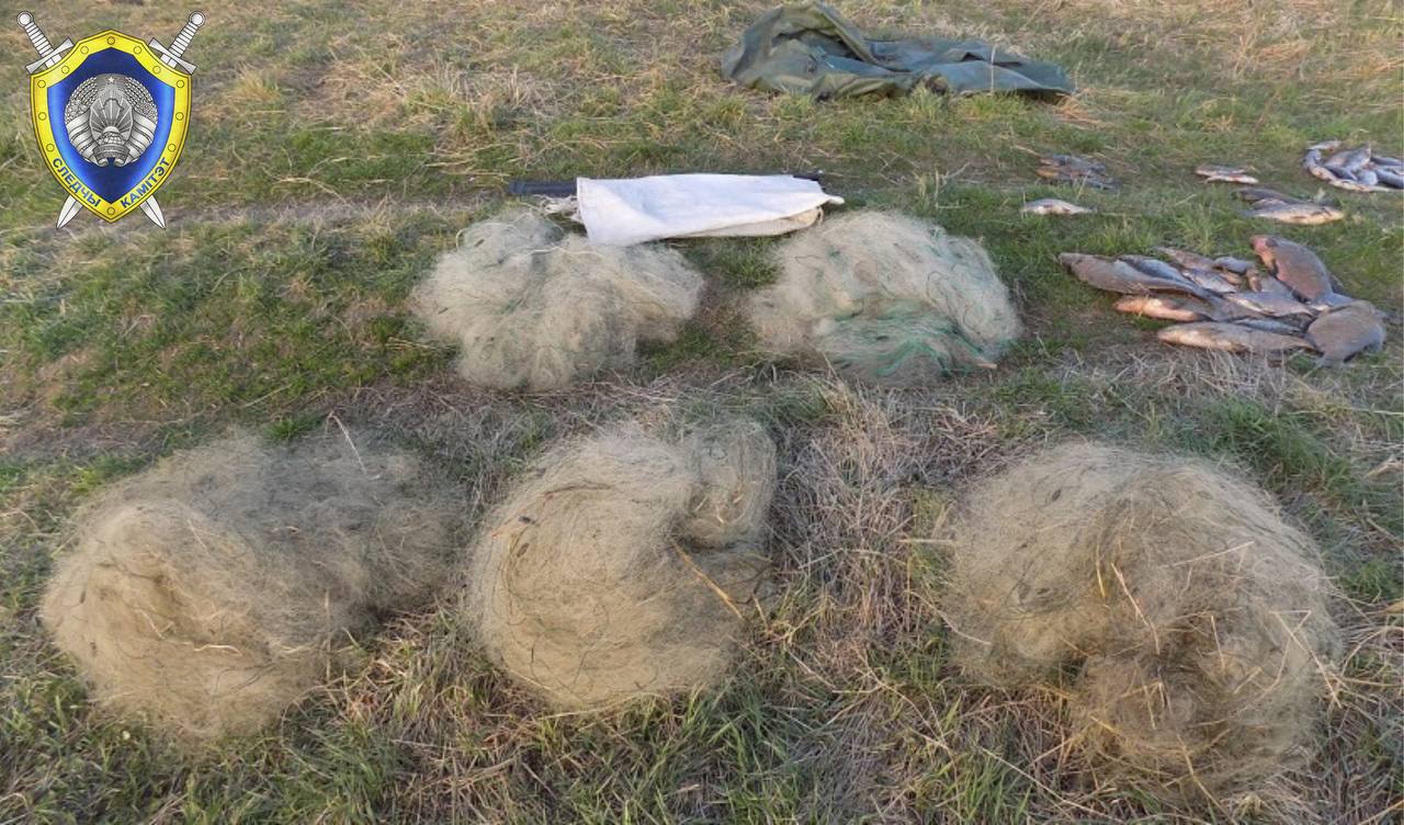 В Быховском районе незаконная рыбалка обернулась для трех приятелей уголовной статьей Вечером 17 апреля вблизи деревни Старая Трасна трое приятелей 42, 35 и 30 лет , взяв запрещенные орудия рыболовства, вышли на промысел на реку Днепр. Установив сети, мужчины договорились вернуться за уловом на следующий день, где их с поличным задержали сотрудники районной инспекции охраны животного и растительного мира. Следователи изъяли незаконный улов и запрещенные снасти. Вред окружающей среде составил 11,8 тысячи рублей.