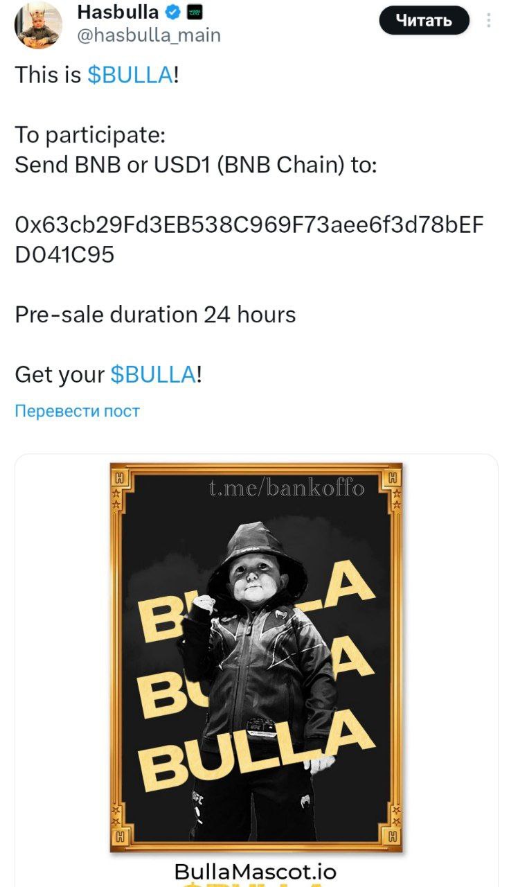 Хасбик объявил о запуске новой криптовалюты под названием BULLA. В течение первых семи часов предпродажи проект уже привлек около 7 миллионов долларов. Однако в криптосообществе уже возникли опасения относительно структуры токеномики проекта. По условиям распределения токенов, Хасбик получит 20% от общего объема выпуска, еще 20% токенов пойдут на "развитие проекта", в то время как всего 5% выделено на поддержание ликвидности. Это не первый криптопроект Хасбика. Его предыдущие инициативы, включая NFT-коллекцию и токен BARSIK, не увенчались успехом.
