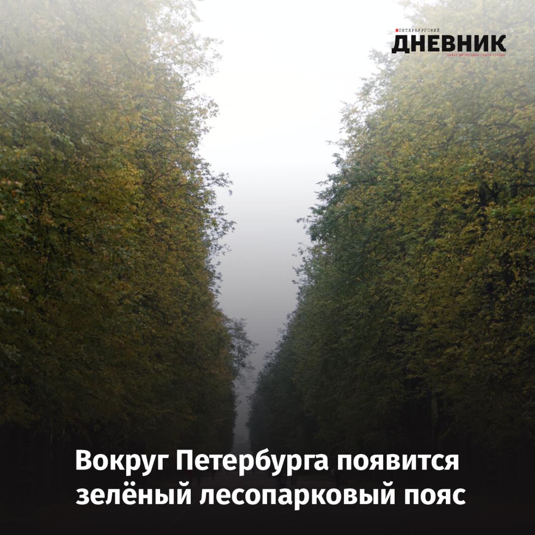 Новый этап экологической защиты в городе создадут лесопарковый пояс Проект о создании зелёного пояса вокруг Петербурга получил поддержку на общественных слушаниях в Сестрорецке Инициатива направлена на защиту лесов и зелёных зон города от застройки и вырубок Как сообщил заместитель председателя Общественной палаты Петербурга Александр Вахмистров в состав пояса планируется включить 22 тысячи гектаров городских лесопарков и около 150 тысяч гектаров территорий в Ленинградской области После слушаний предложение будет направлено в Правительство России Большая часть будущего зелёного пояса около 15 тысяч гектаров расположена в Курортном районе Фото Александр Глуз Подписаться на Петербургский Дневник в MAX