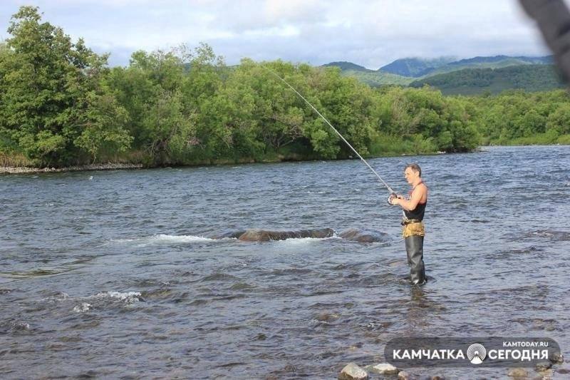 На Камчатке вводят эксперимент по любительскому вылову горбуши      Сегодня, 17 июля, на заседании круглого стола по любительскому рыболовству глава Камчатского края Владимир Солодов анонсировал начало уникального эксперимента по разрешению бесплатного любительского вылова горбуши в Усть-Большерецком районе Камчатки.   Теперь местные жители смогут бесплатно ловить до десяти экземпляров рыбы ежедневно, соблюдая установленные правила и ограничения.      Решение принято с целью балансировки интересов населения и сохранения местных водных ресурсов. Важно отметить, что речь идет именно о бесплатном, но контролируемом любительском рыболовстве.   Ранее поступали многочисленные обращения от камчадалов, включая прямые линии губернатора, где жители выражали желание самостоятельно заготавливать рыбу для семейного пользования.      Чтобы предотвратить возможные негативные последствия массового свободного лова, рабочая группа Законодательного Собрания разработала специальный механизм выдачи бесплатных лицензий.   Жители Камчатки теперь могут оформить электронную суточную лицензию на портале госуслуг.   Однако закрытие лицензии обязательно должно происходить непосредственно на месте рыбалки - на специализированном контрольном пункте.      Участником эксперимента стала река Большая в Усть-Большерецком районе, поскольку традиционные места ловли вблизи Петропавловска-Камчатского  реки Паратунка и Авача  уже значительно обеднели рыбой. Старт эксперимента обещают дать на следующей неделе.      Новый порядок позволит местным жителям насладиться возможностью свободно рыбачить для собственных нужд, одновременно препятствуя нелегальному промыслу и коммерческому использованию природных богатств.      Эксперимент продлят до 20 августа. По результатам оценки эффективности возможно расширение программы на другие реки Камчатки уже в следующем году.      Таким образом, инициатива властей призвана удовлетворить потребности населения в доступном ресурсе и сохранить устойчивое развитие отрасли рыболовства.