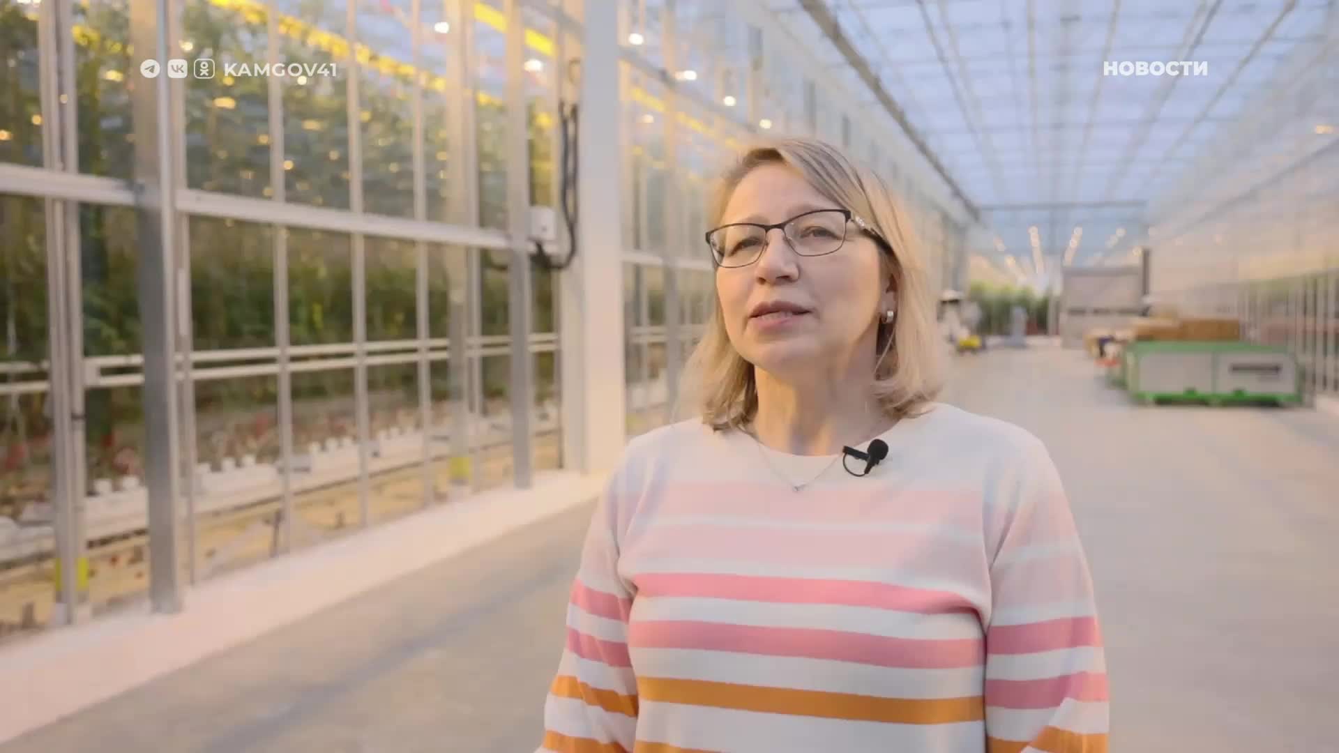Камчатка получила 750 тонн тепличных овощей с февраля