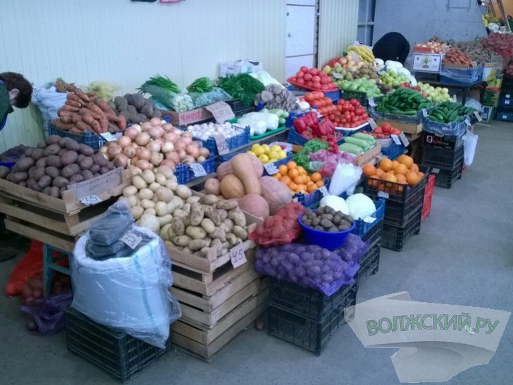 Шестые в стране в Волгоградской области развивается фермерское движение В Волгоградской области растёт число фермерских хозяйств по числу КФХ регион занимает шестое место в Российской Федерации Как рассказали Волжский ру в региональной администрации с начала года появилось почти 320 новых предприятий малых форм хозяйствования занятых в аграрной лесной отраслях а также в рыбоводстве Общее количество таких хозяйств достигло 5 тысяч Чиновники отмечают что рост показателей стал возможен за счет государственной поддержки в том числе грантов Агростартап или Семейная ферма В 2025 году стартовал новый проект по поддержке участников СВО Агромотиватор Подробнее на Волжский ру   www volzsky ru index php wx 16 wx2 81523 ВолжскийРу волжский vlz