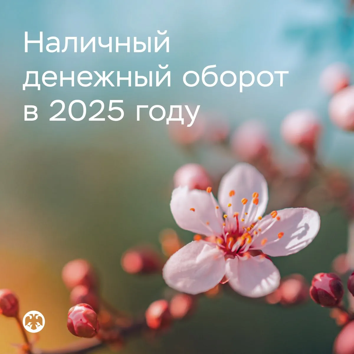 Наличный денежный оборот в 2025 году составил 125 7 триллиона рублей В прошлом году наличный денежный оборот снизился на 3 4 Это связано с ростом популярности безналичных платежей По данным Банка России в кассы и банкоматы банков поступило 61 2 триллиона рублей выдано 64 5 триллиона рублей Операции с живыми деньгами совершали преимущественно граждане В то же время они стали реже расплачиваться за товары и услуги именно наличными Всего за 2025 год таких операций было проведено на 6 7 триллиона рублей что на 16 ниже чем годом ранее Одновременно приток наличных на счета физических лиц уменьшился почти на 21 до 11 7 триллиона рублей Объем операций по снятию и внесению средств через банкоматы практически остался на уровне предыдущего года 76 2 триллиона рублей Это составило более 60 всего наличного оборота Больше всего наличными пользуются в Москве и Московской области Санкт Петербурге и Краснодарском крае